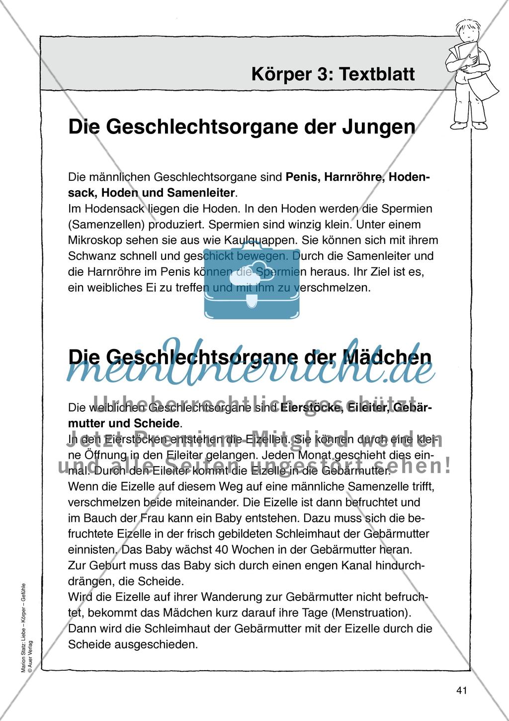 Werkstattmaterialien Körper - Teil 1 Preview 9