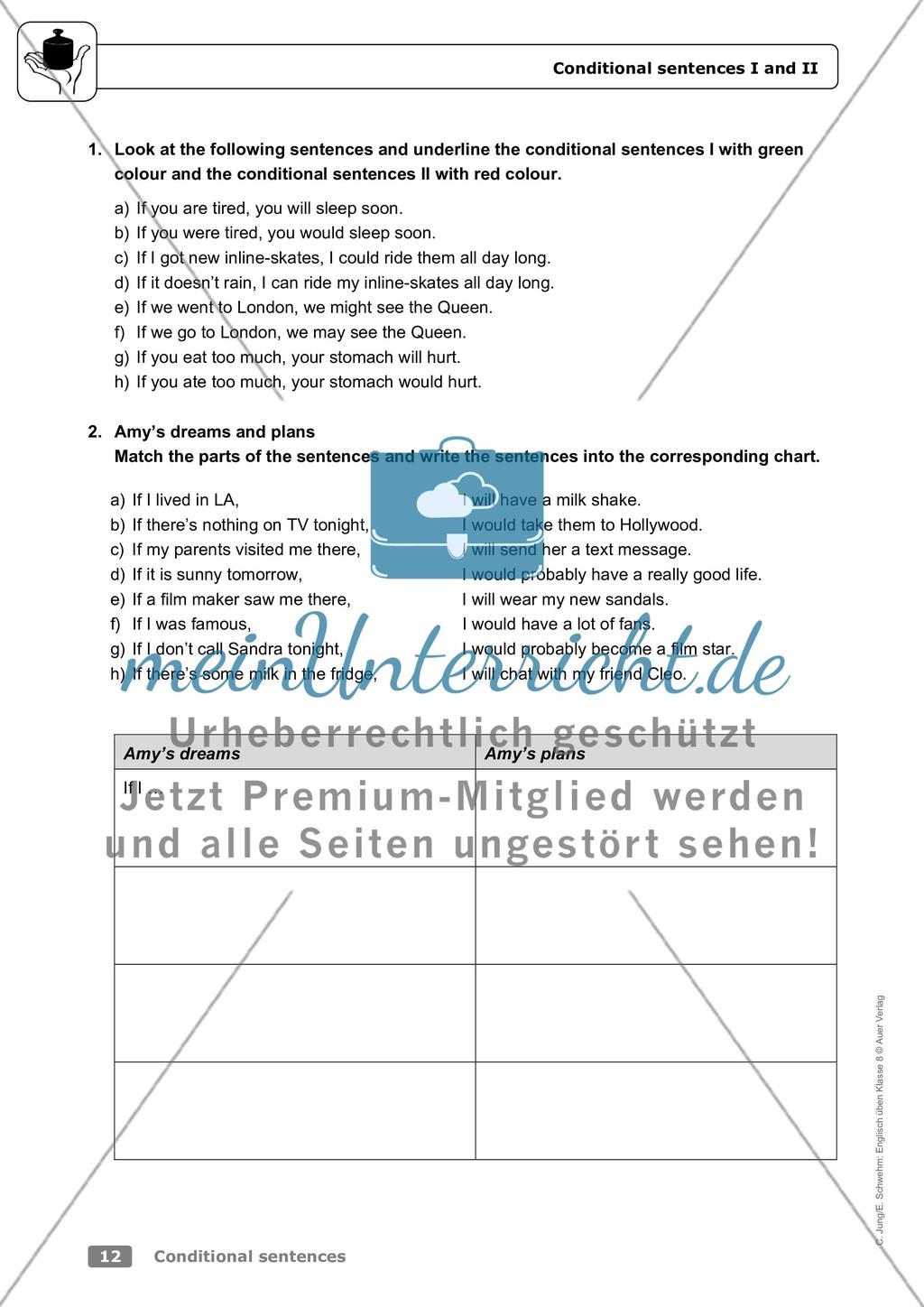 Conditional sentences Preview 8