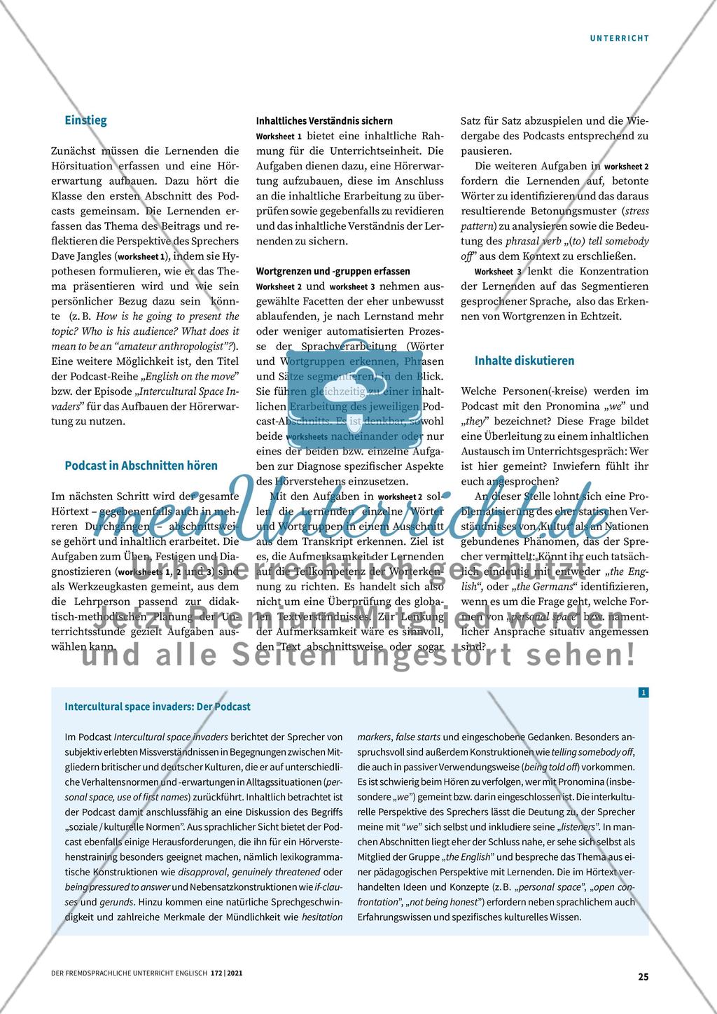 Intercultural space invaders Preview 3