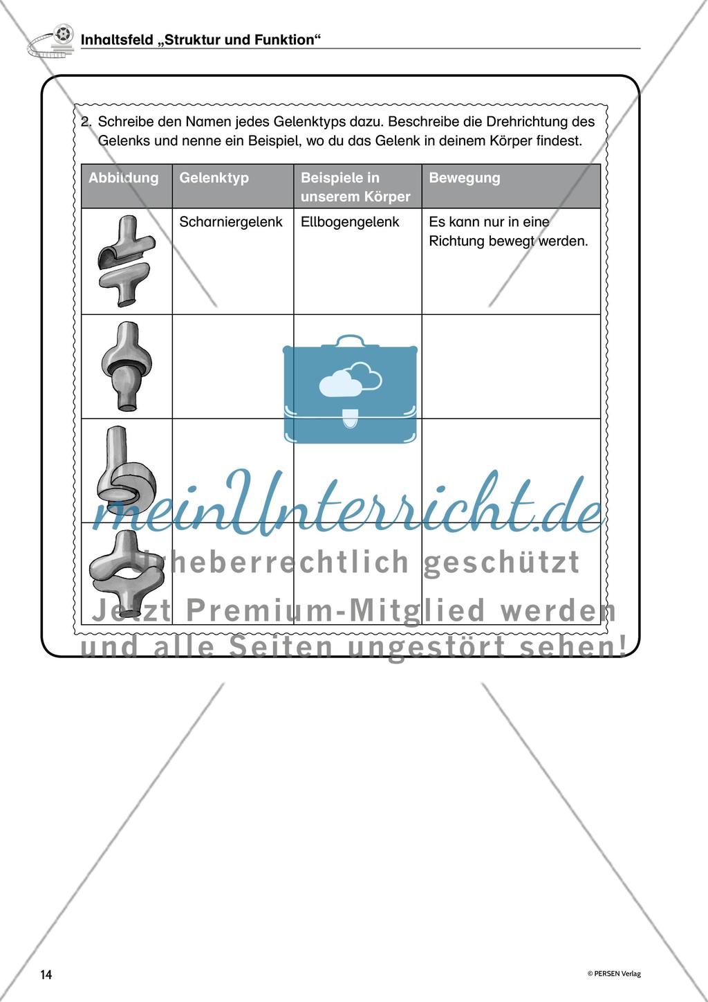 Inhaltsfeld