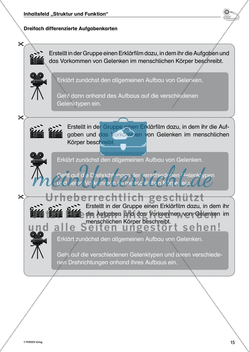 Inhaltsfeld