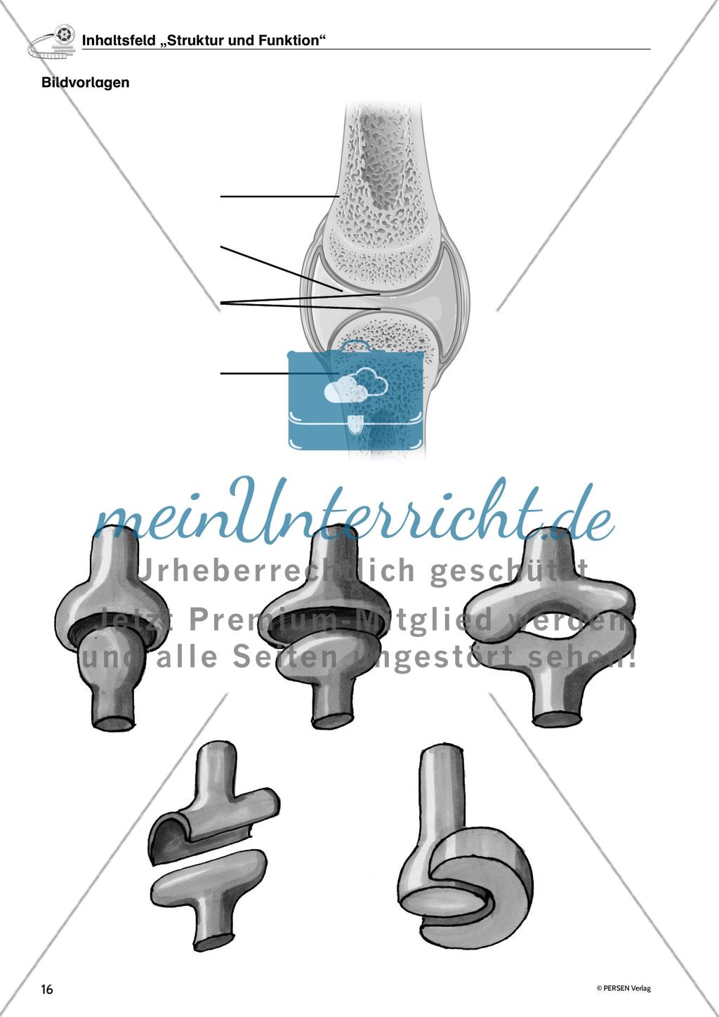 Inhaltsfeld