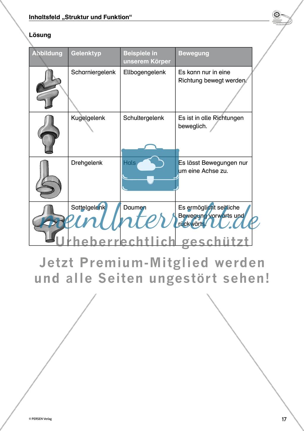 Inhaltsfeld