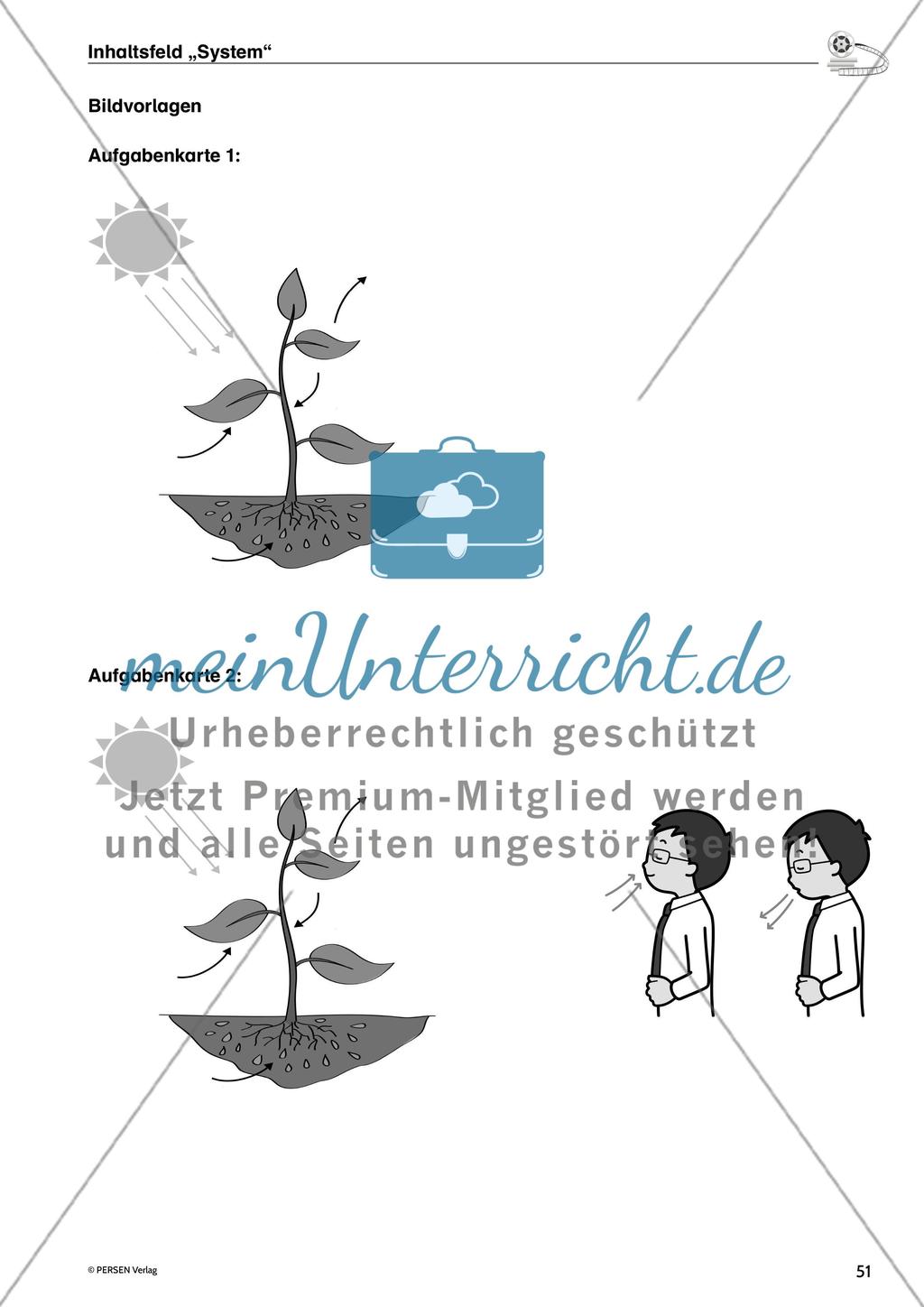 Inhaltsfeld
