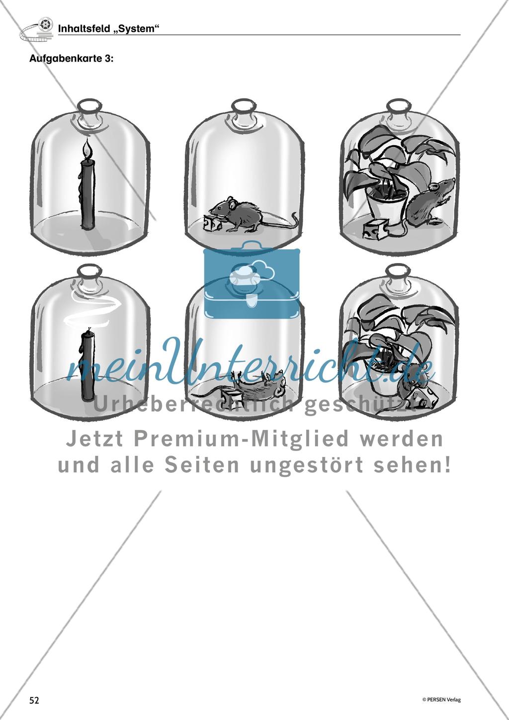 Inhaltsfeld