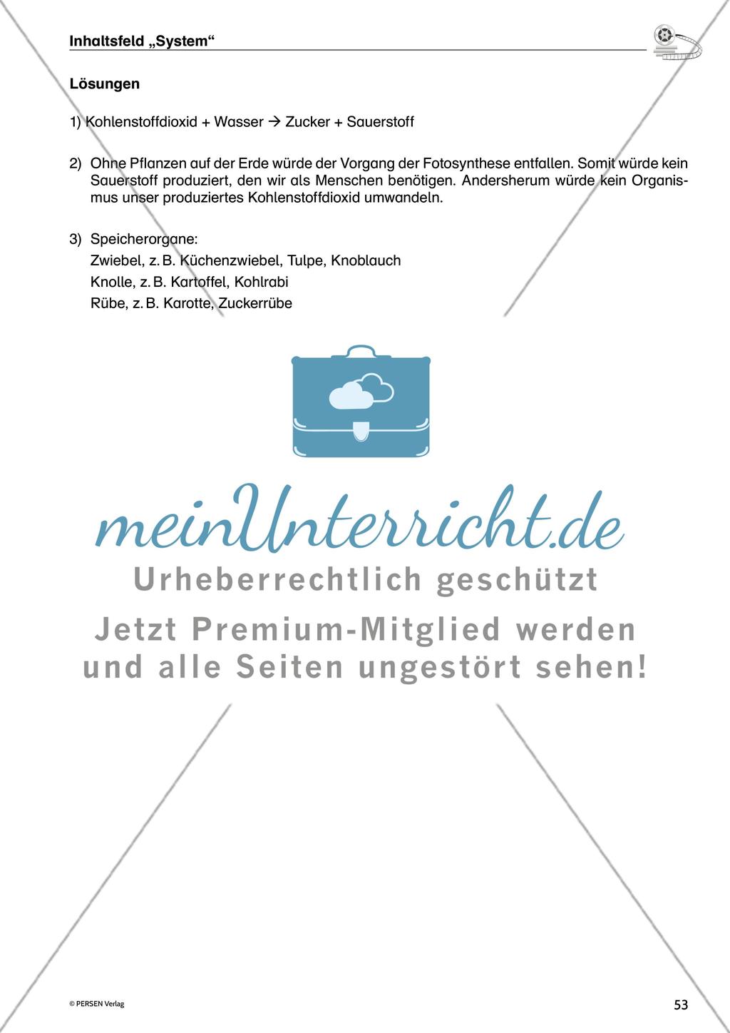 Inhaltsfeld
