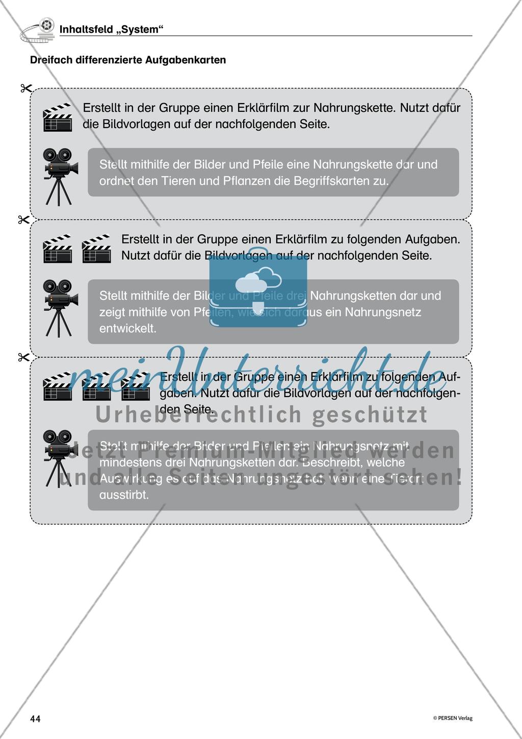 Inhaltsfeld