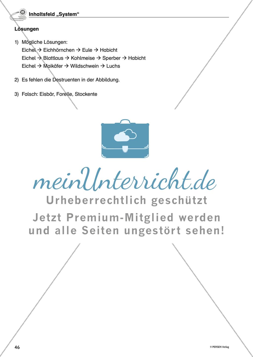 Inhaltsfeld