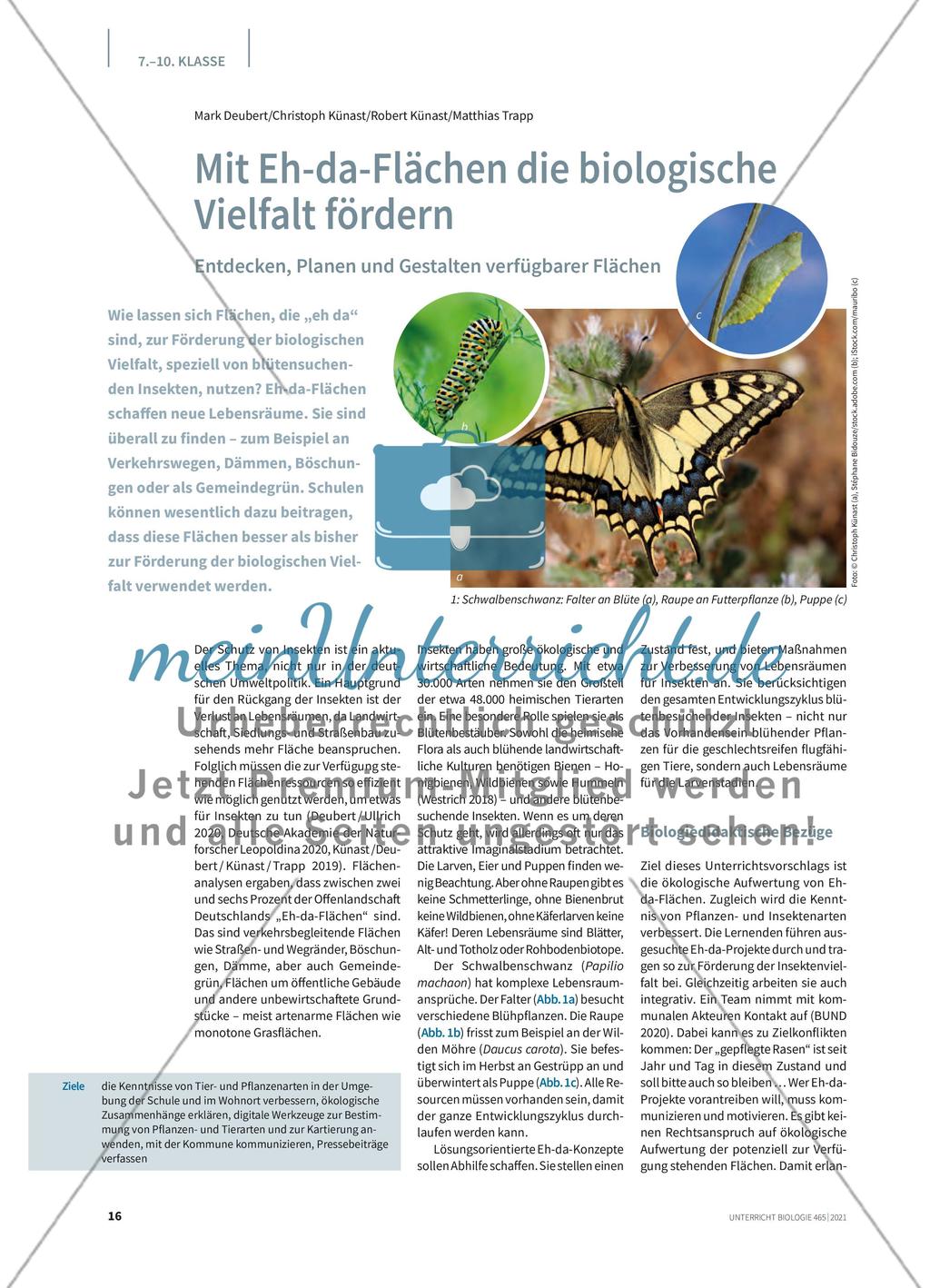Mit Eh-da-Flächen die biologische Vielfalt fördern Preview 1
