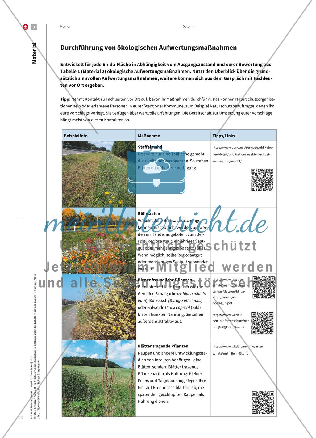 Mit Eh-da-Flächen die biologische Vielfalt fördern Preview 5