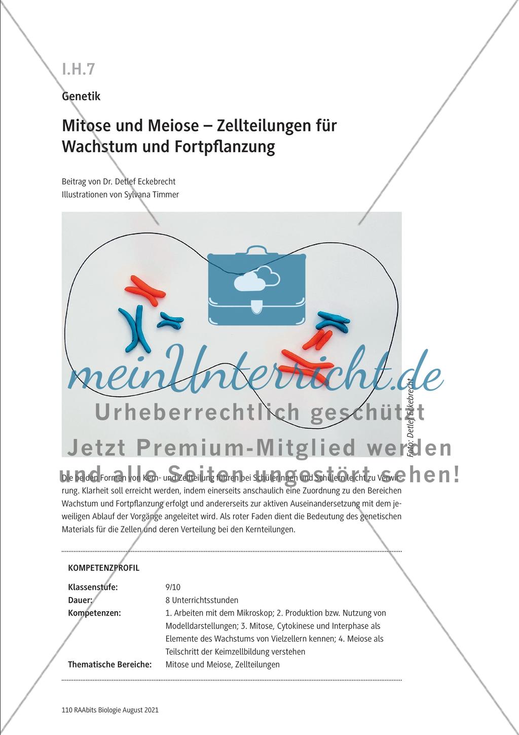 Einführung Preview 1