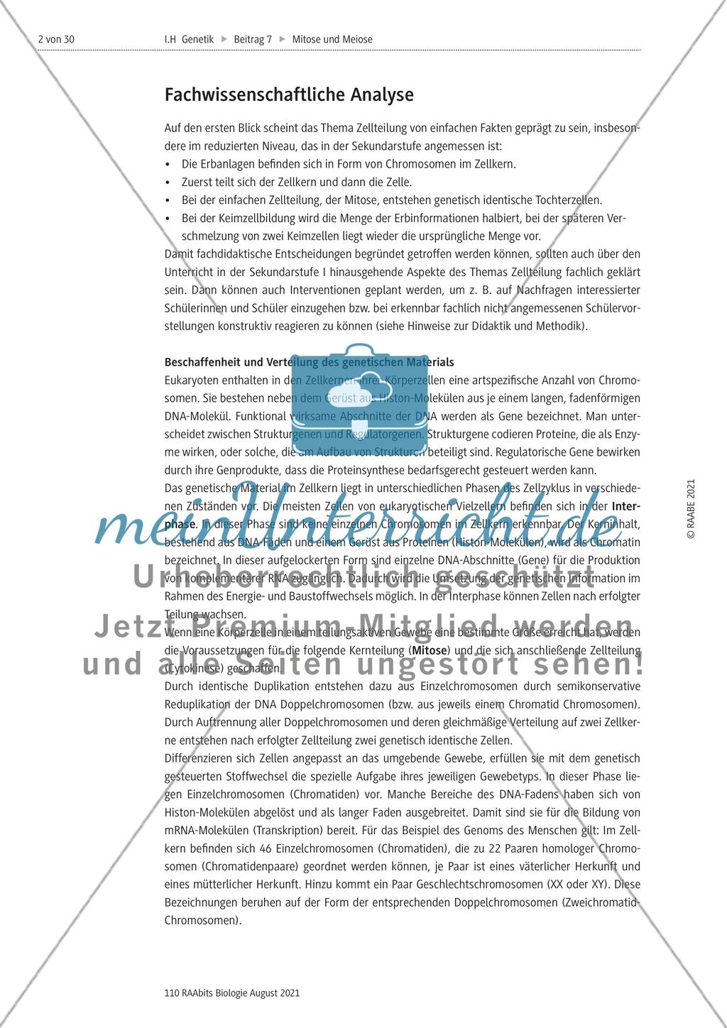 Einführung Preview 2