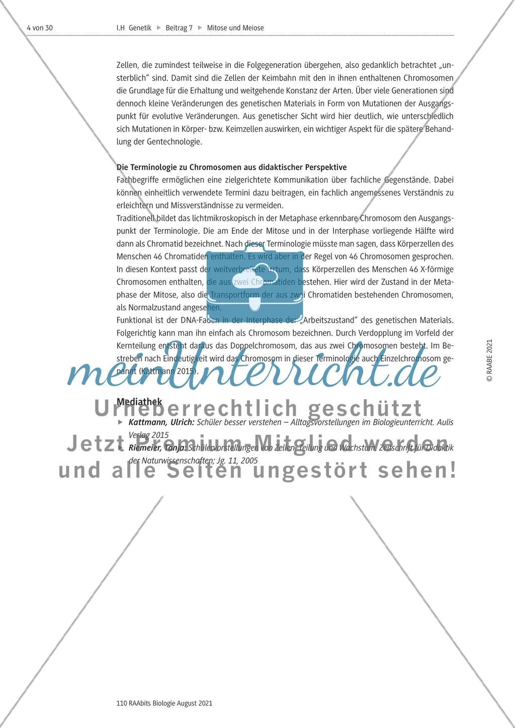 Einführung Preview 4
