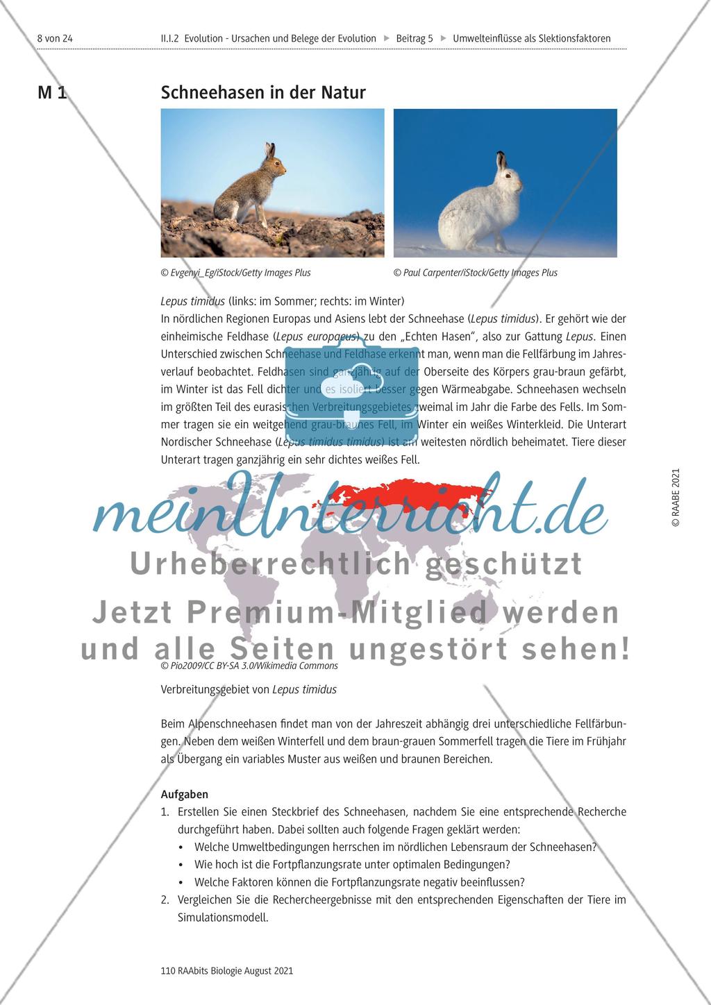 Eine Tierart real und im Simulationsmodell Preview 1