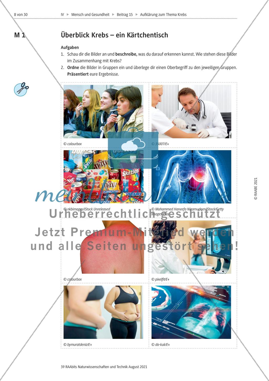 Einführung in das Thema Krebs Preview 1