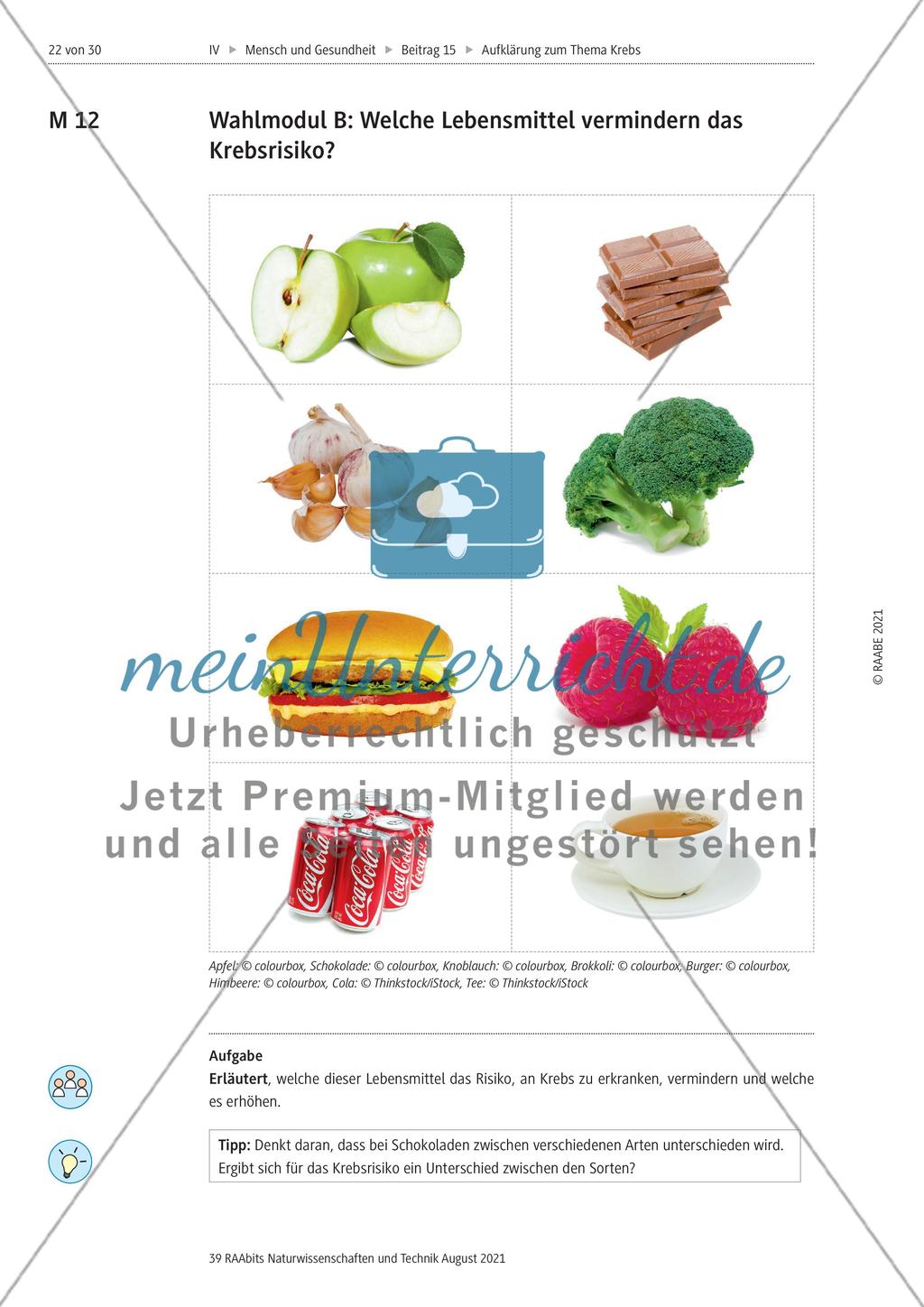 Alles zum Thema Krebs - Stationenlernen Preview 10