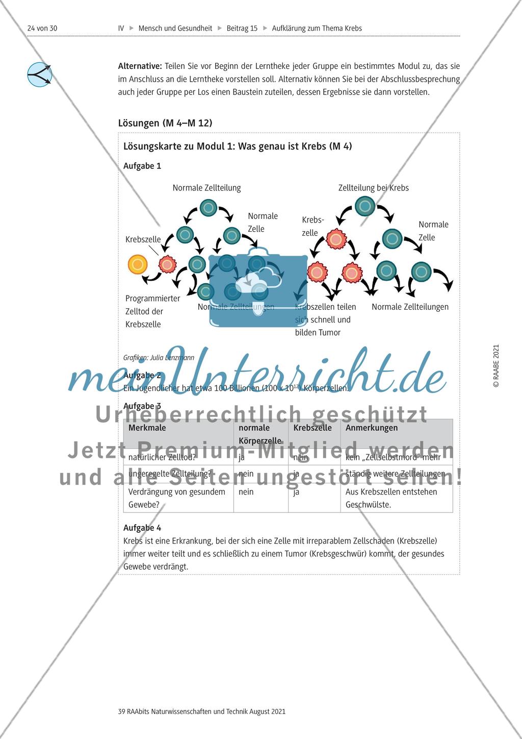 Alles zum Thema Krebs - Stationenlernen Preview 12