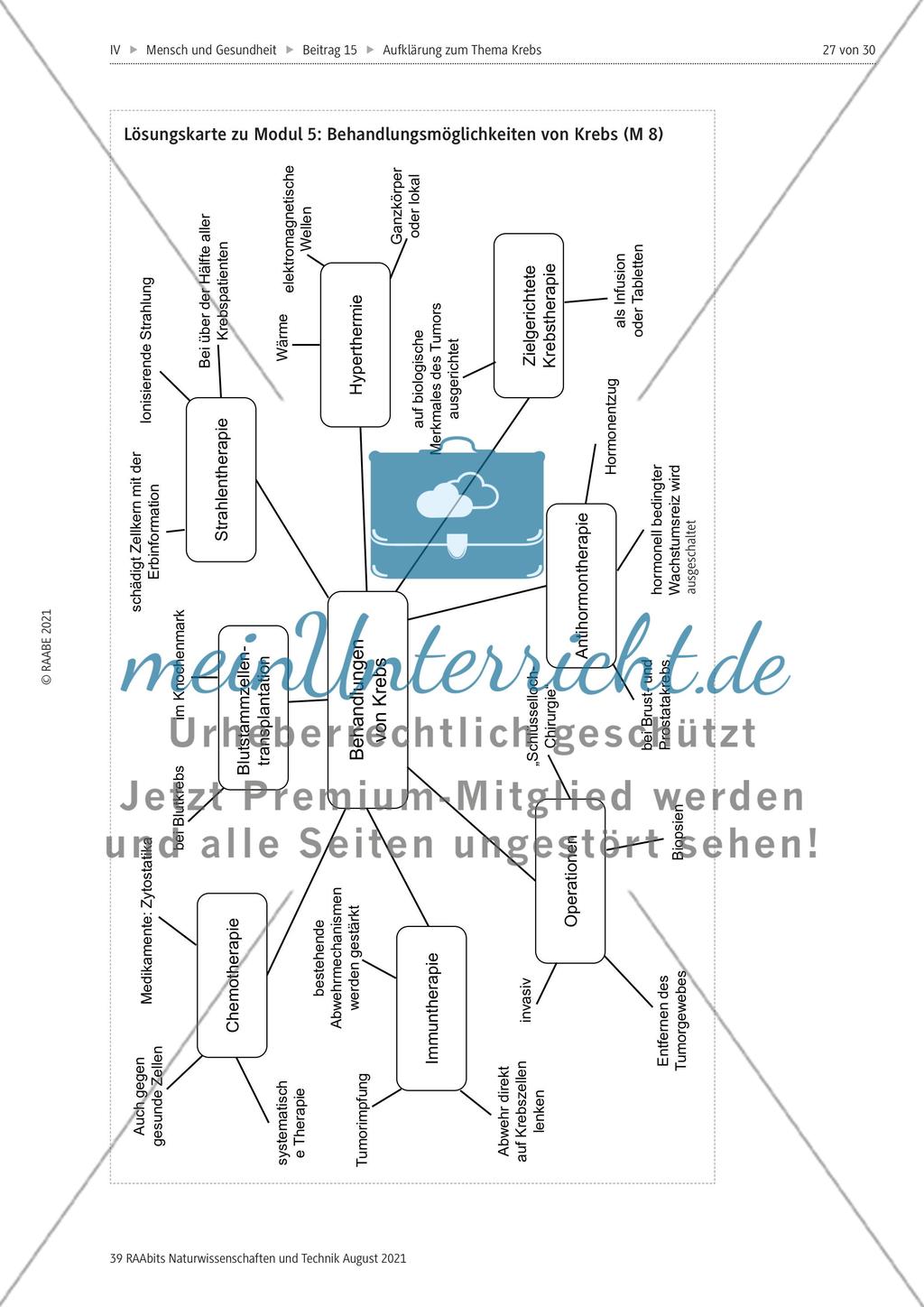 Alles zum Thema Krebs - Stationenlernen Preview 15