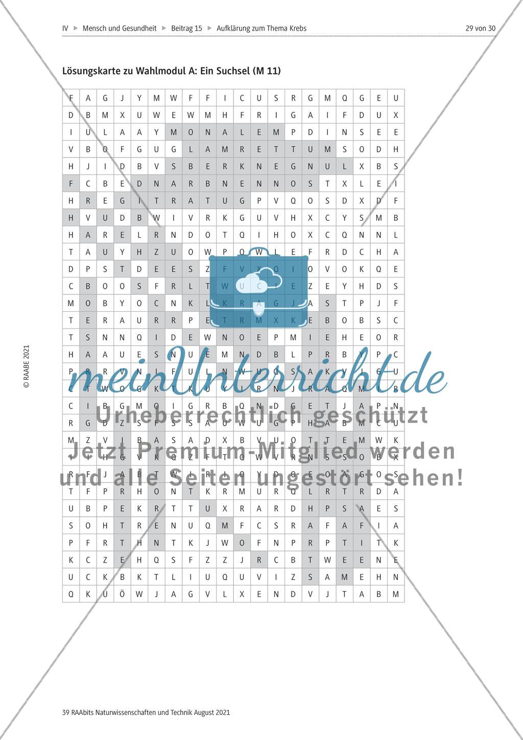 Alles zum Thema Krebs - Stationenlernen Preview 17