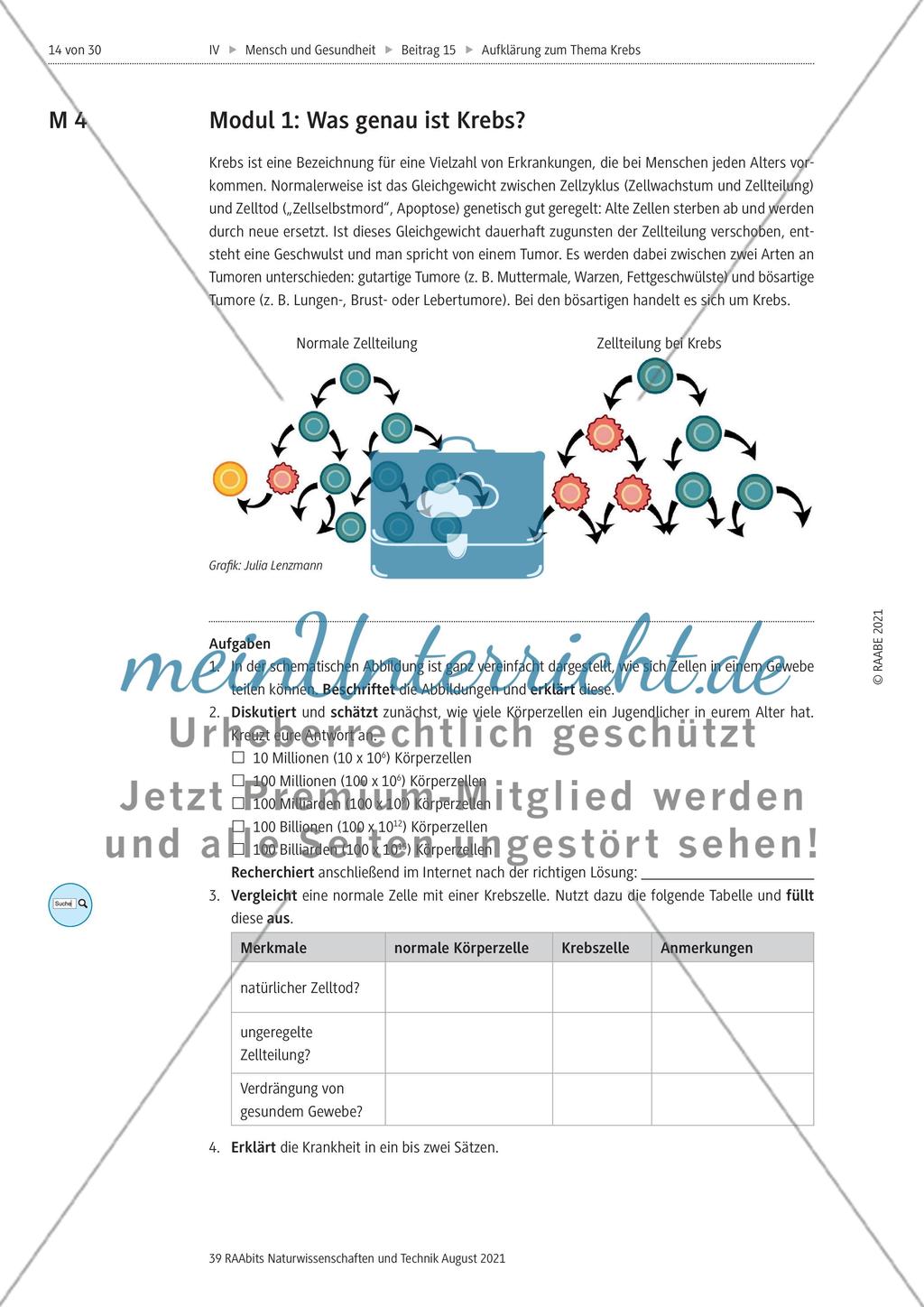 Alles zum Thema Krebs - Stationenlernen Preview 2
