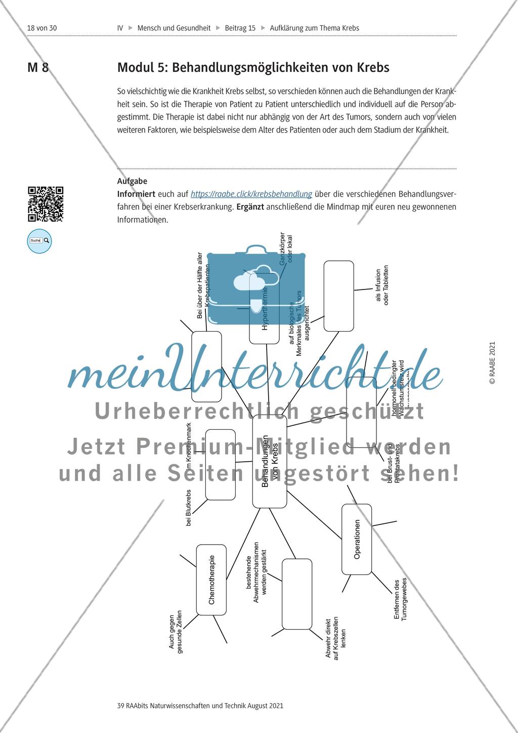 Alles zum Thema Krebs - Stationenlernen Preview 6