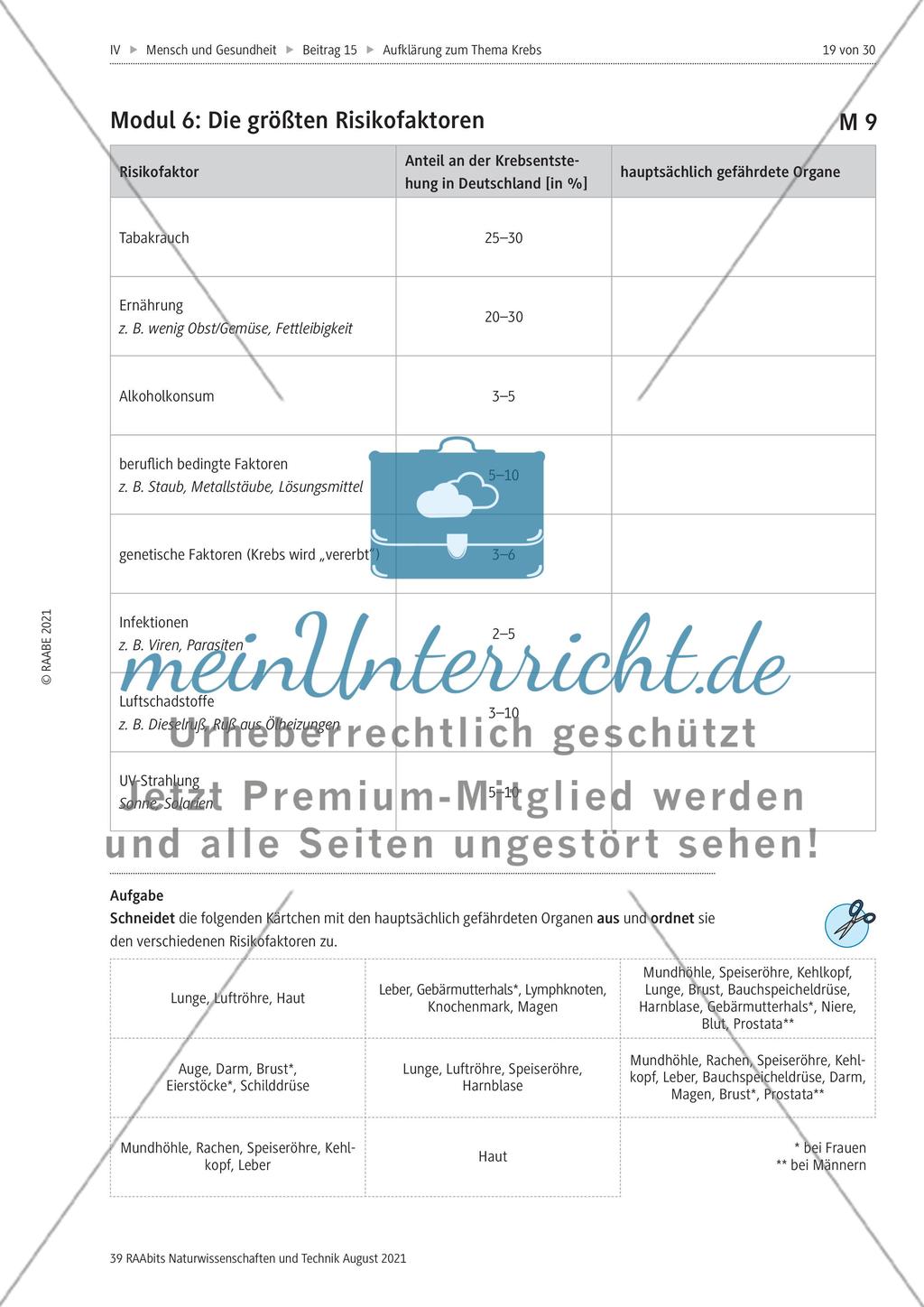 Alles zum Thema Krebs - Stationenlernen Preview 7