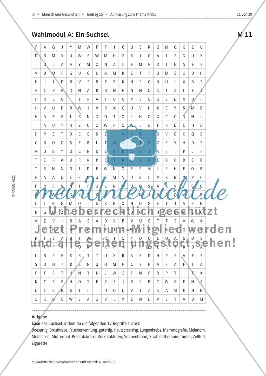 Alles zum Thema Krebs - Stationenlernen Preview 9