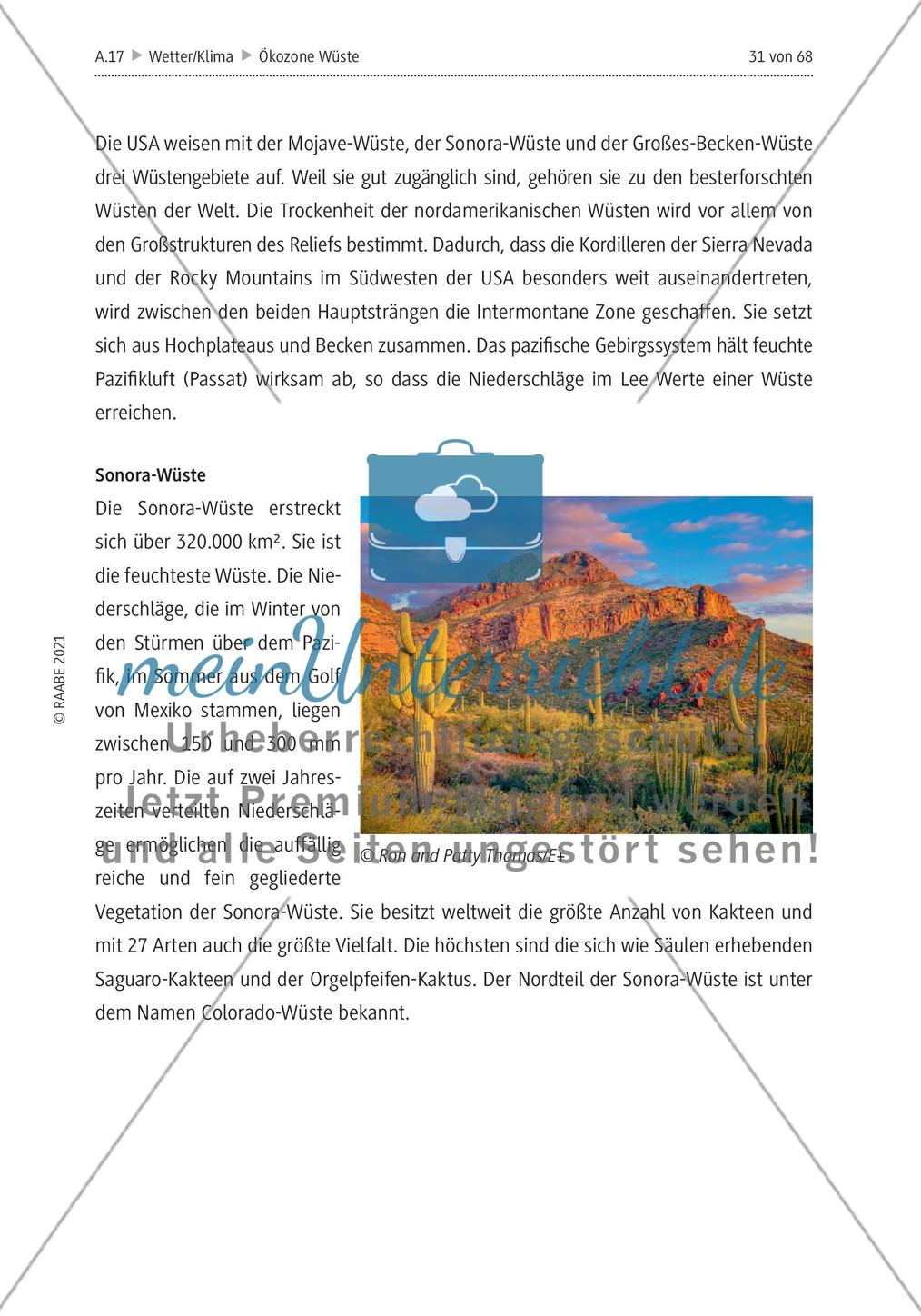 Wüsten - ein Überblick Preview 21