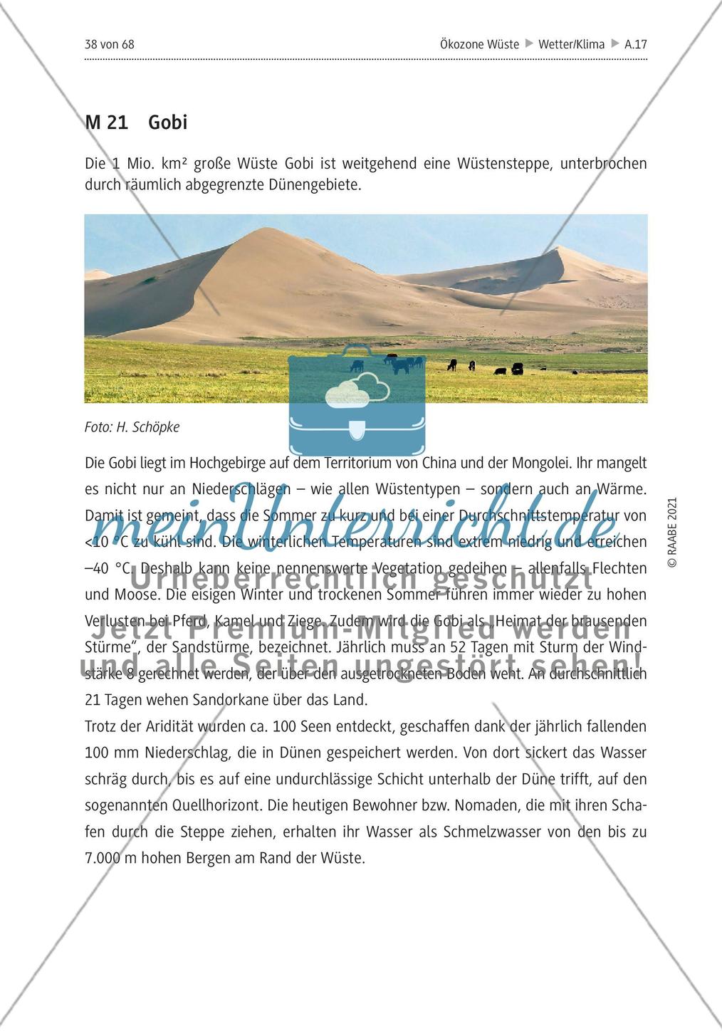 Wüsten - ein Überblick Preview 28