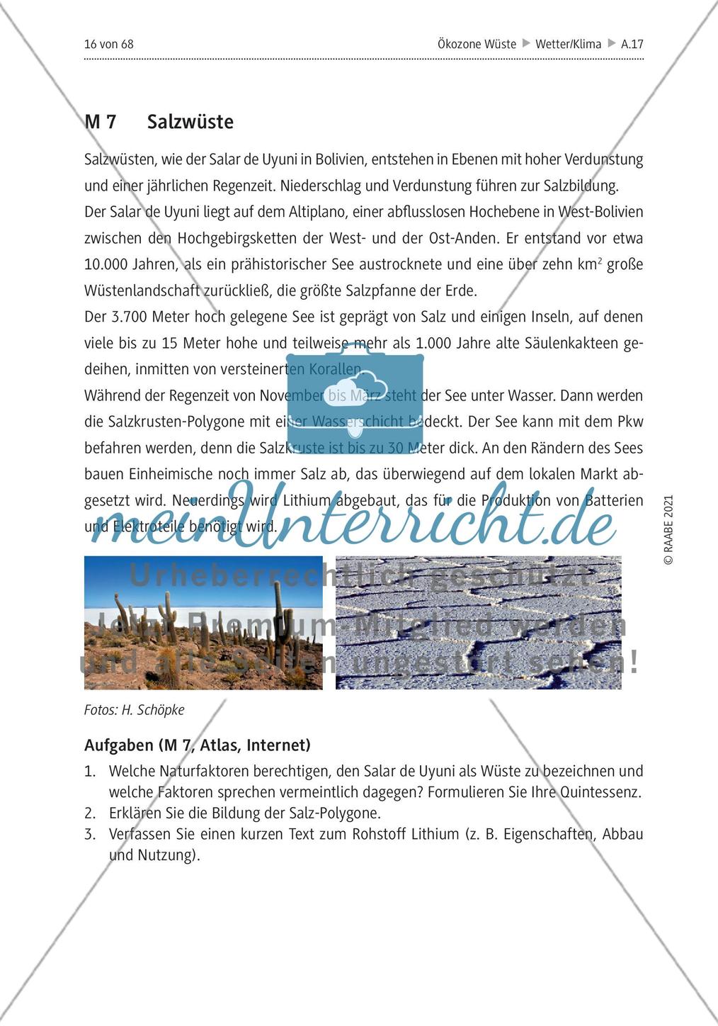 Wüsten - ein Überblick Preview 6