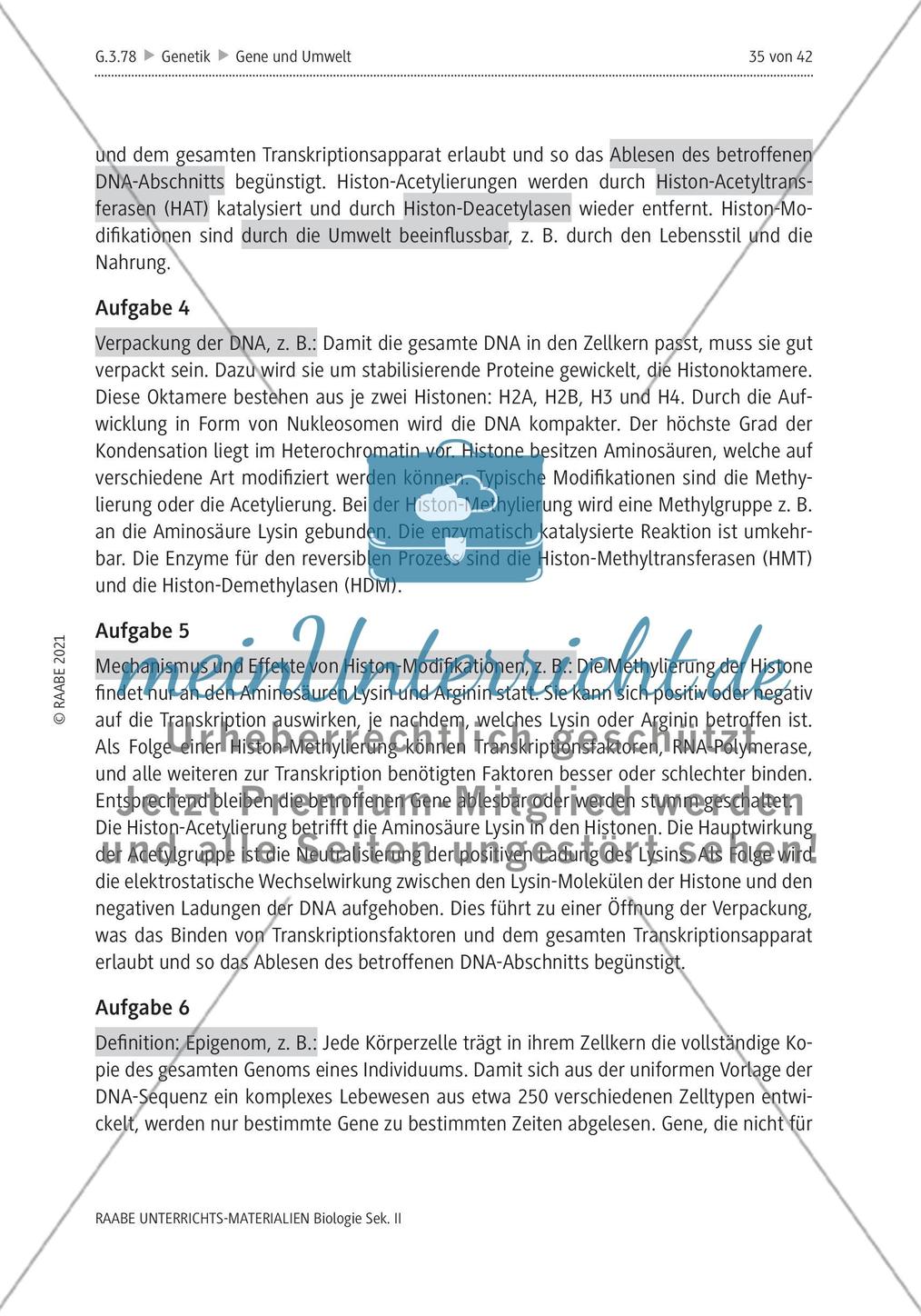 Lösungen Preview 12