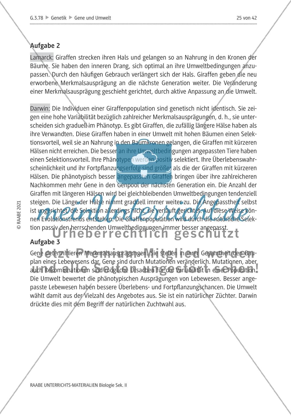 Lösungen Preview 2