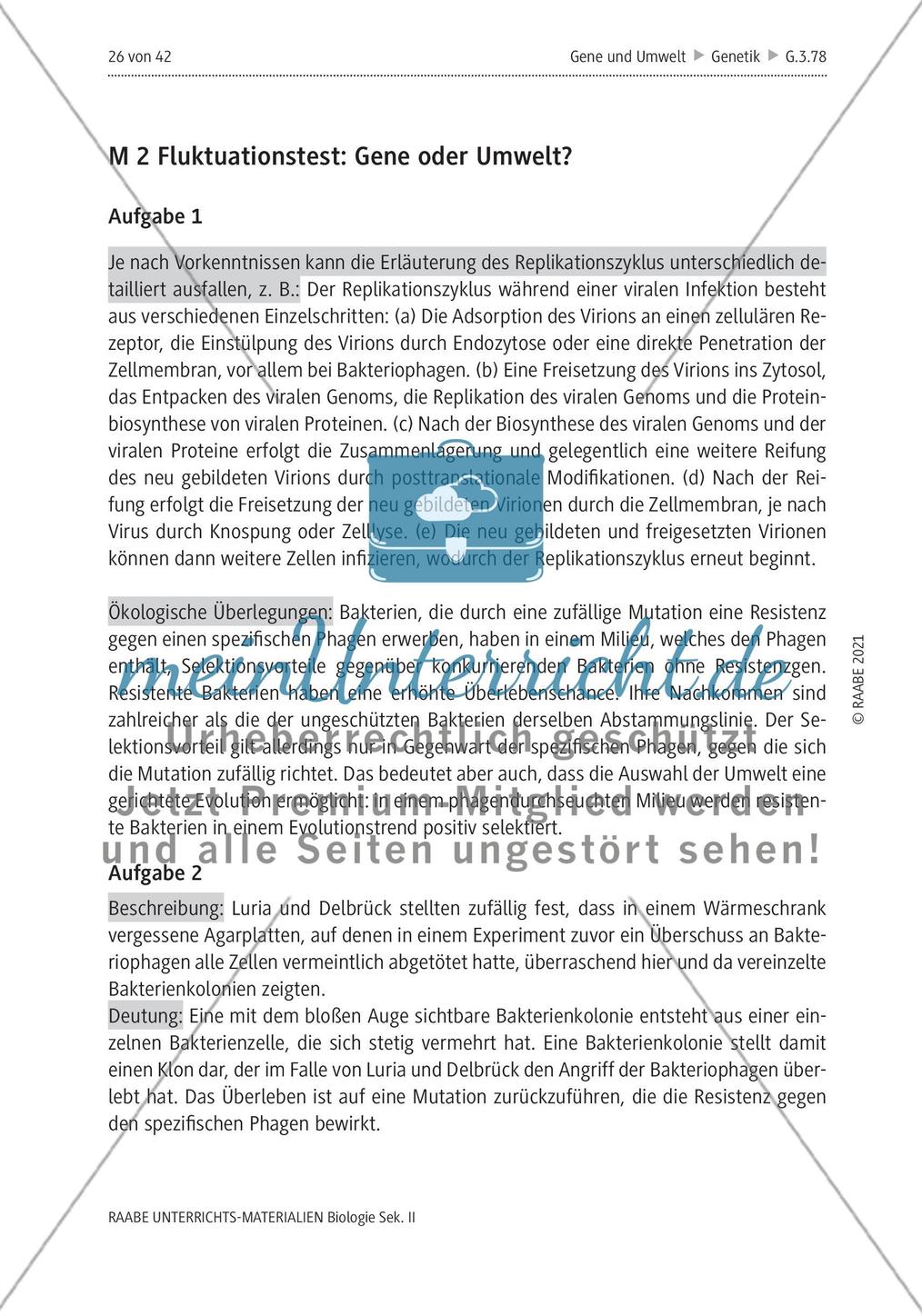 Lösungen Preview 3