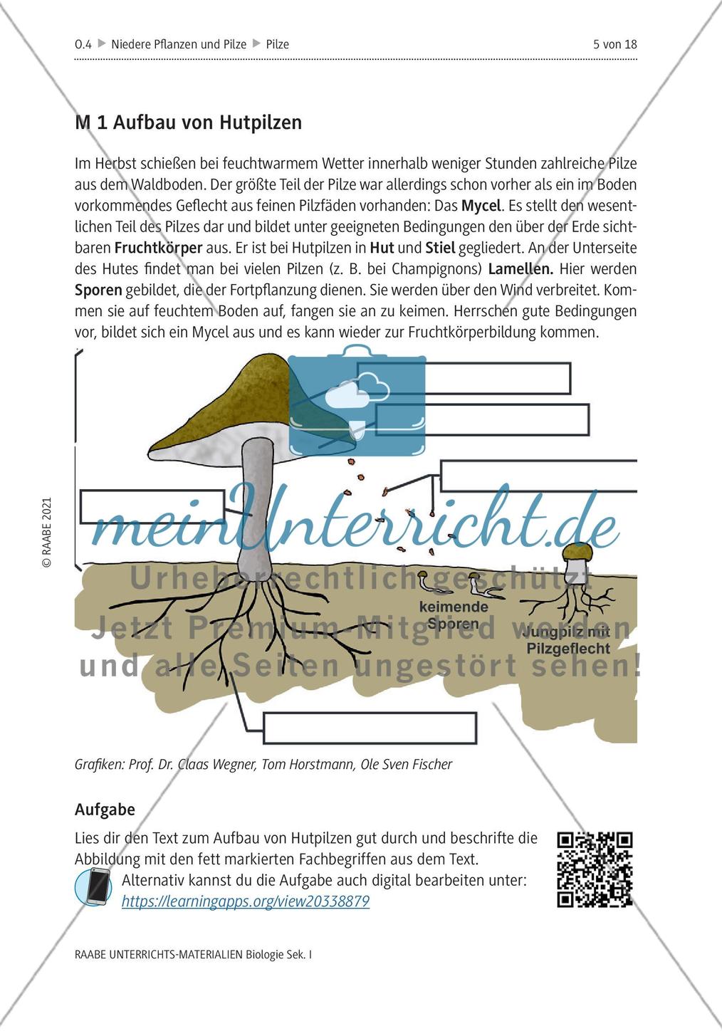 Das Reich der Pilze - M1-M6 Preview 1