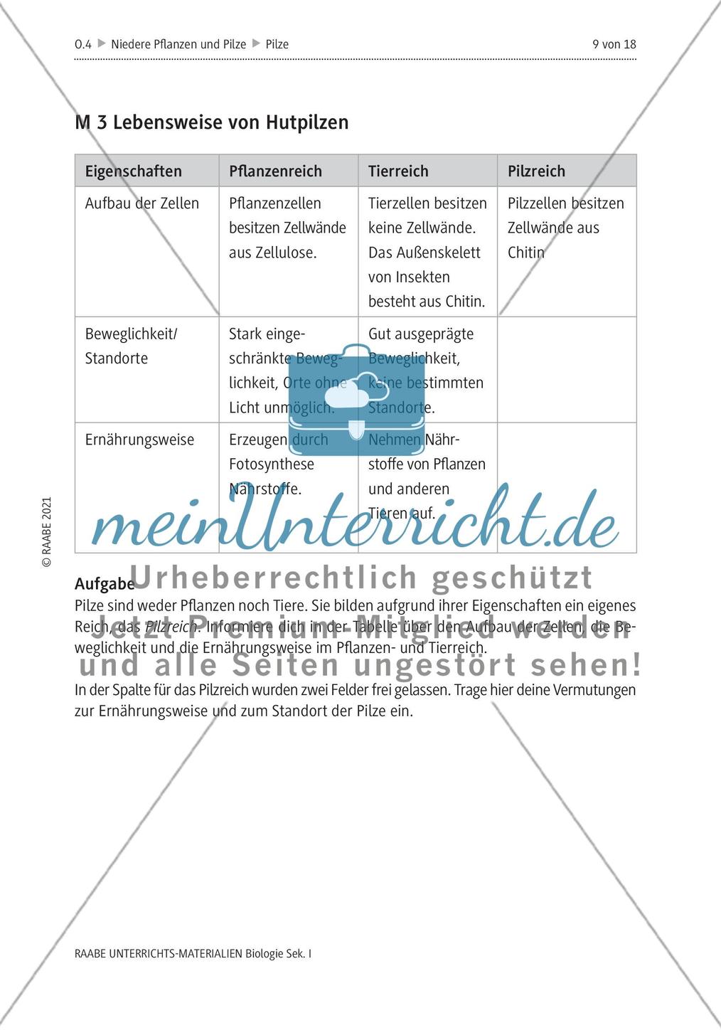 Das Reich der Pilze - M1-M6 Preview 5