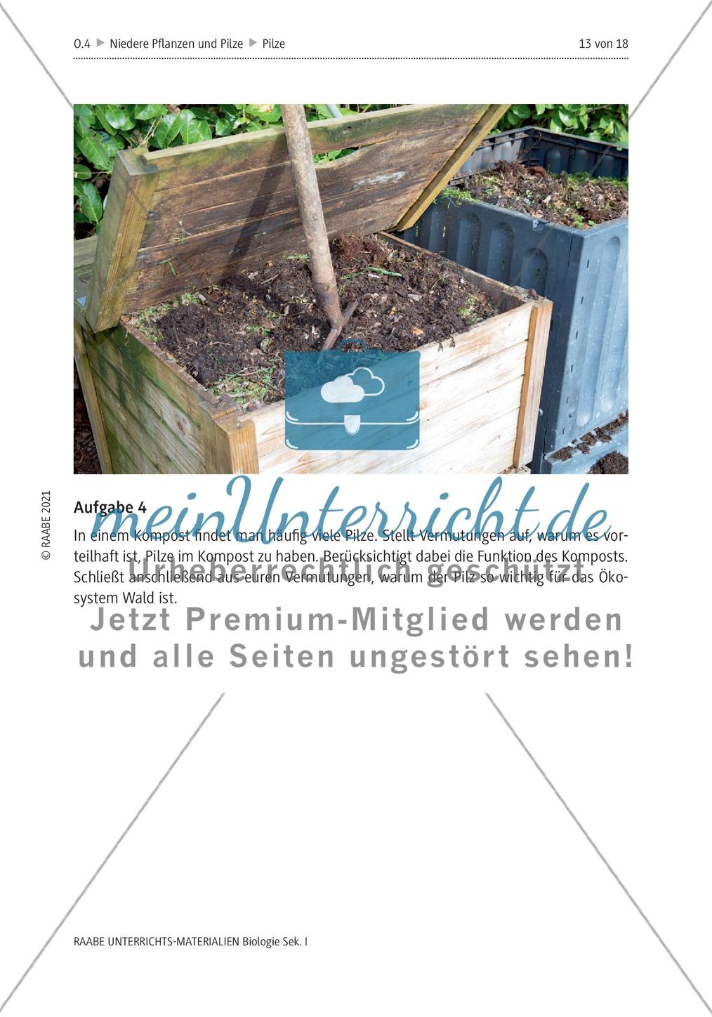 Das Reich der Pilze - M1-M6 Preview 9