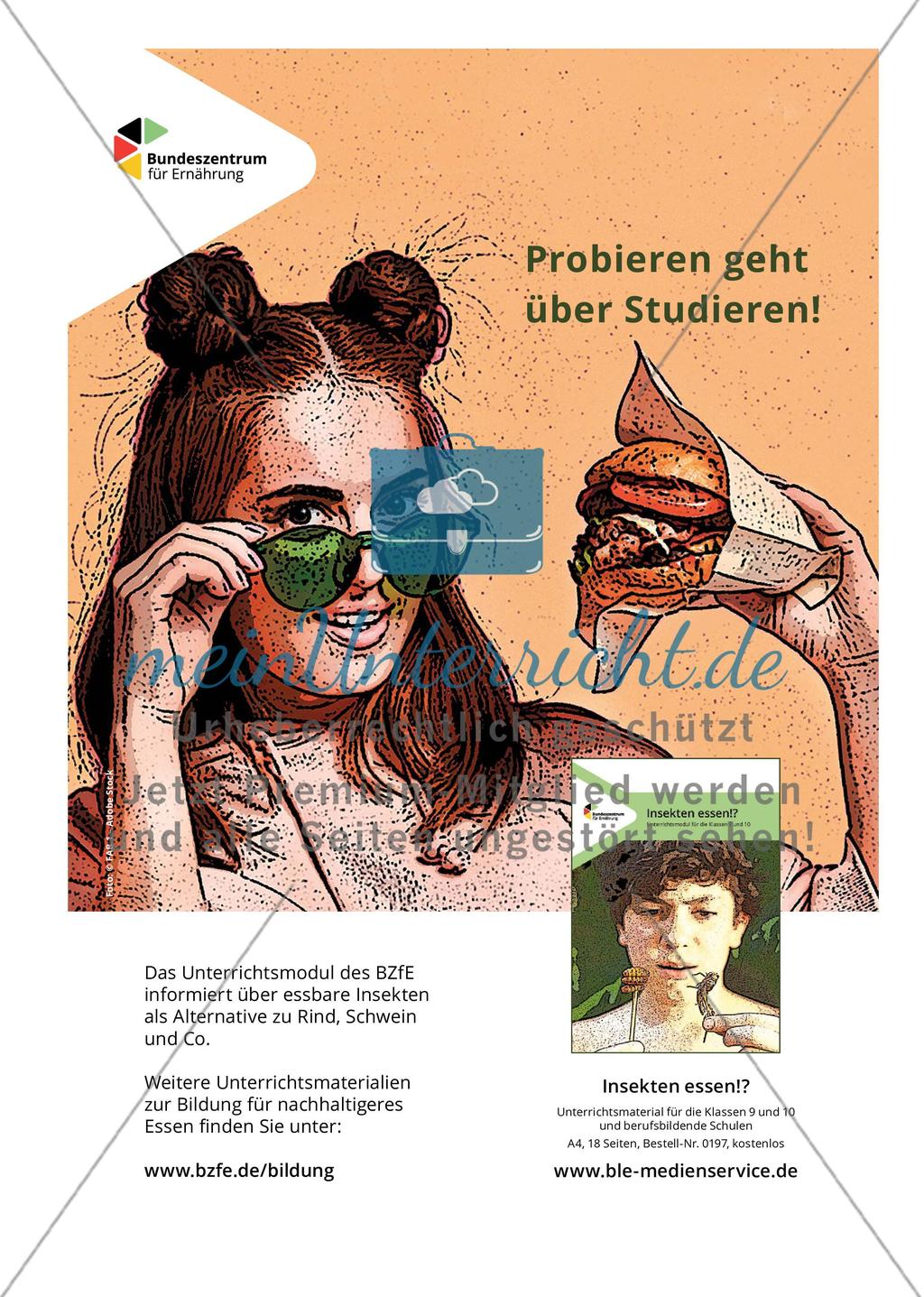 MINT Zirkel - Ausgabe 3, September 2021 Preview 12