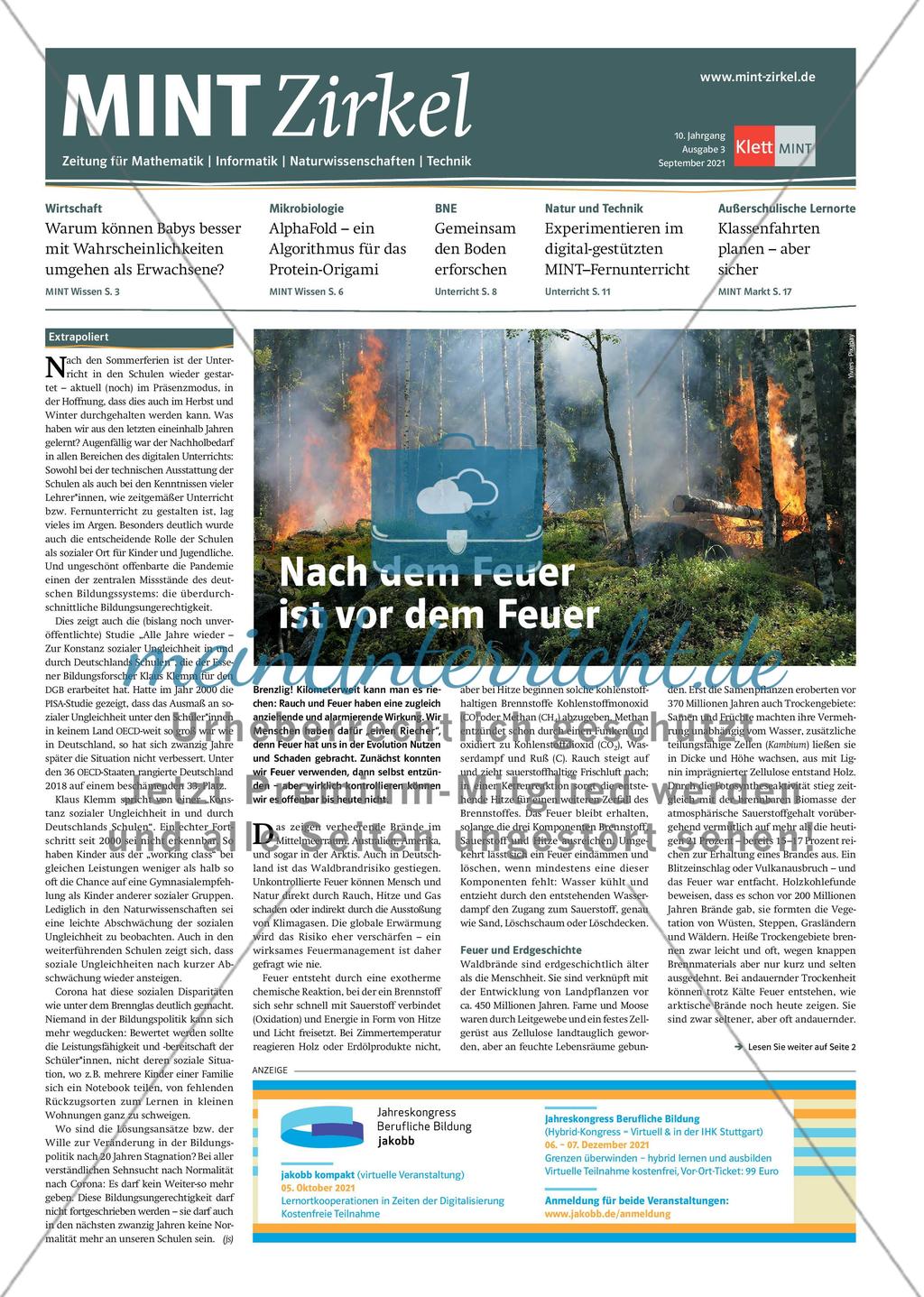 MINT Zirkel - Ausgabe 3, September 2021 Preview 1