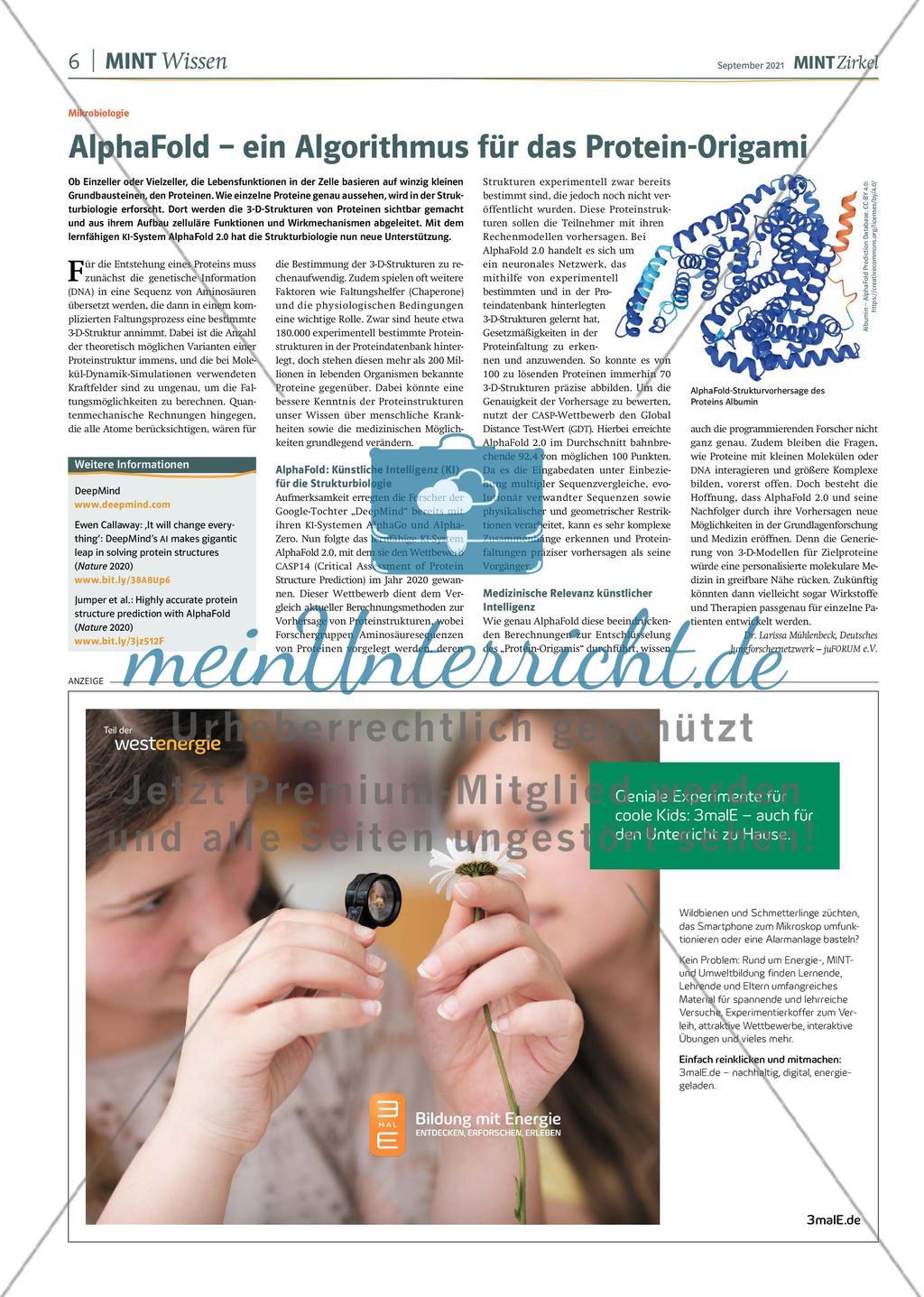 MINT Zirkel - Ausgabe 3, September 2021 Preview 6