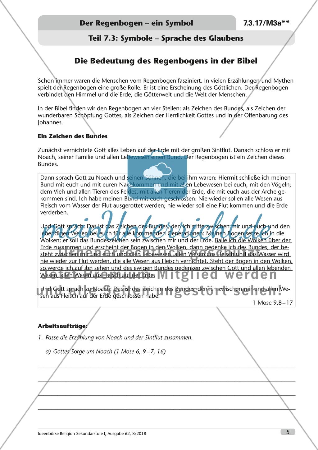 Der Regenbogen – ein Symbol Preview 6