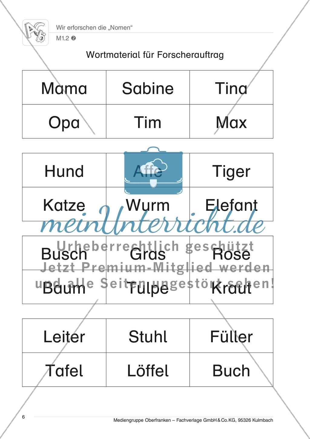 Wir erforschen die „Nomen“ - meinUnterricht