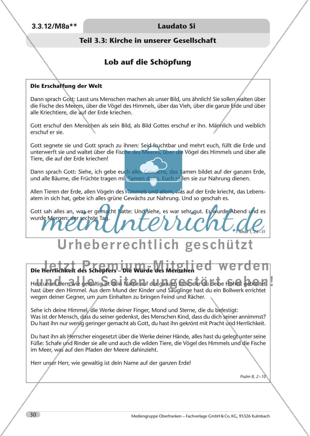 Laudato si – der Papst und die Umweltfrage Preview 31