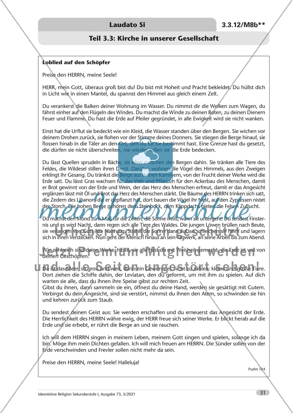 Laudato si – der Papst und die Umweltfrage Preview 32