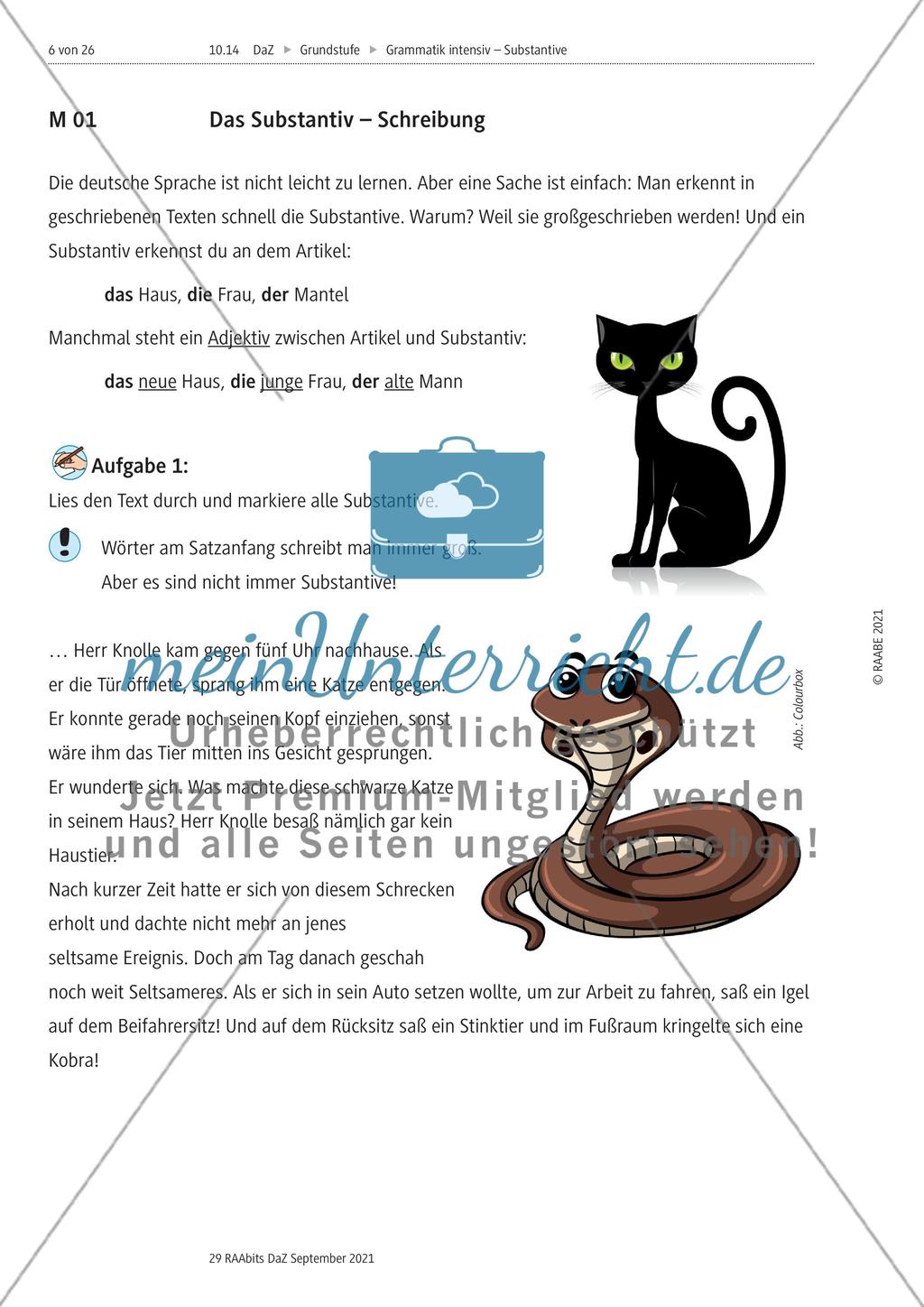 Substantive - Teil 1 Preview 1