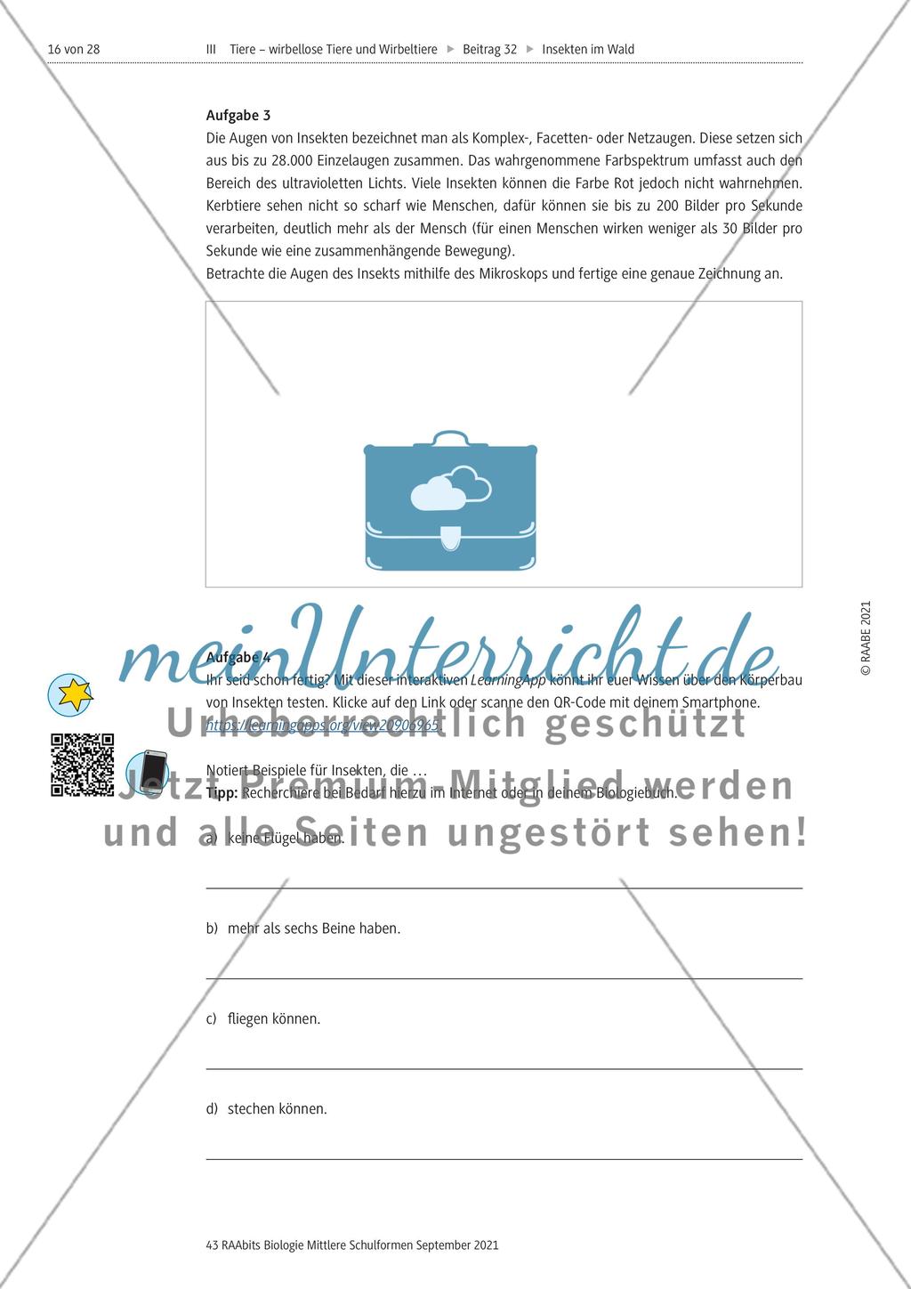 Insekten in der Lebensgemeinschaft Wald - Teil 2 Preview 3