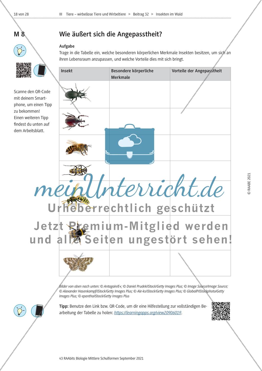 Insekten in der Lebensgemeinschaft Wald - Teil 2 Preview 5