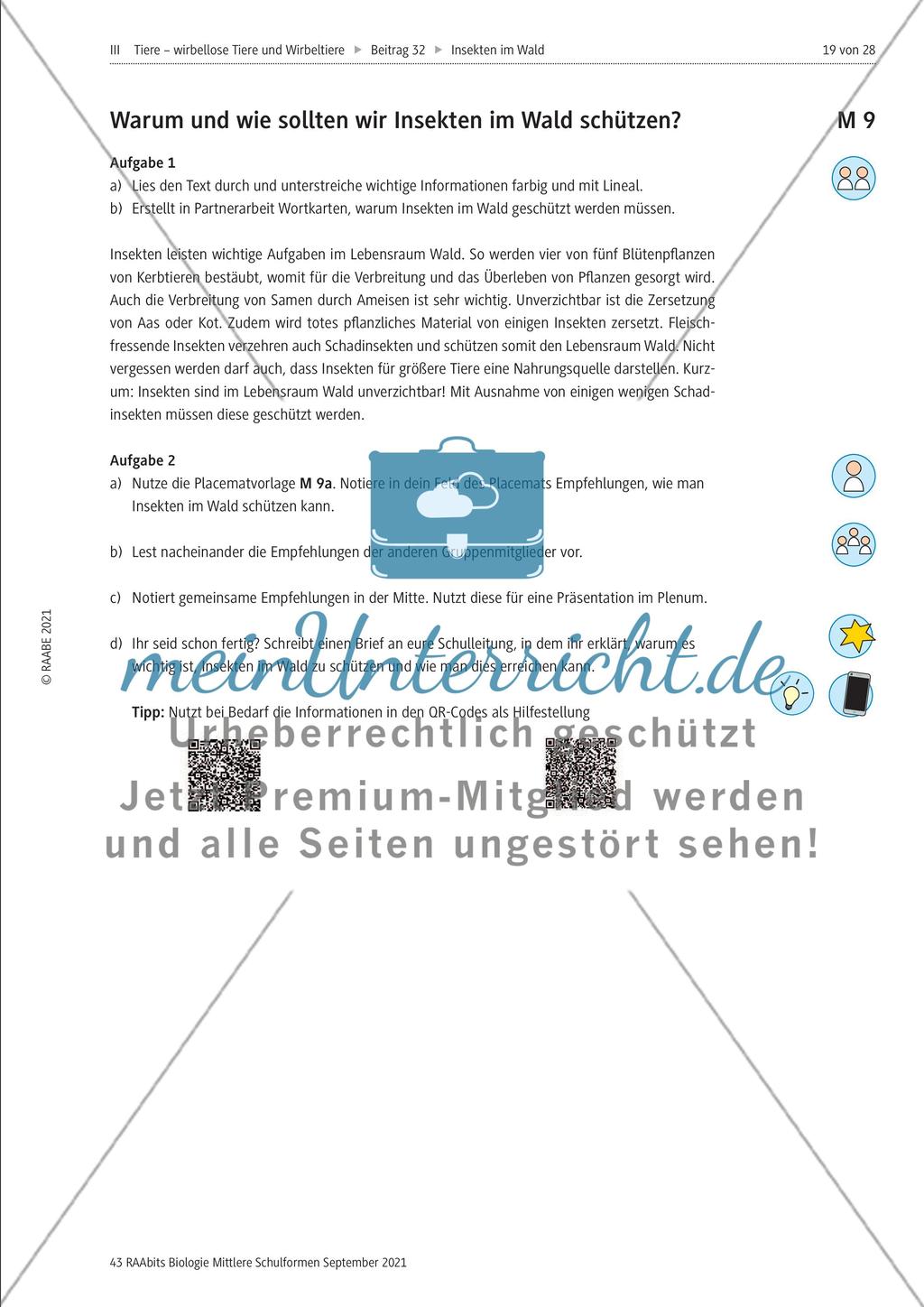 Insekten in der Lebensgemeinschaft Wald - Teil 2 Preview 6