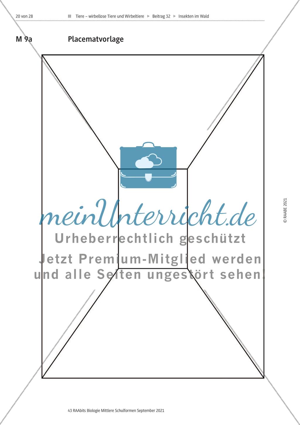 Insekten in der Lebensgemeinschaft Wald - Teil 2 Preview 7