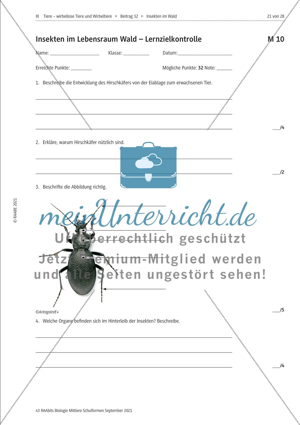 Insekten in der Lebensgemeinschaft Wald - Teil 2 Preview 8