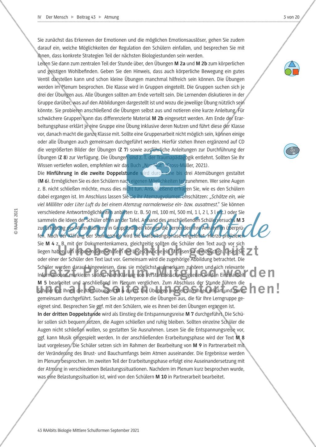Einführung mit Zusatzmaterial Preview 3